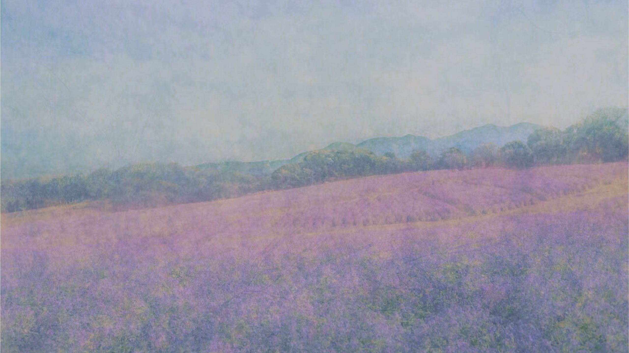 More details background